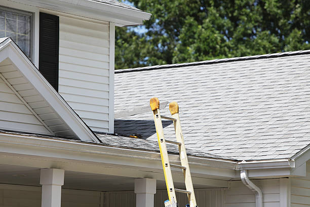 Best Insulated Siding Installation  in Boutte, LA